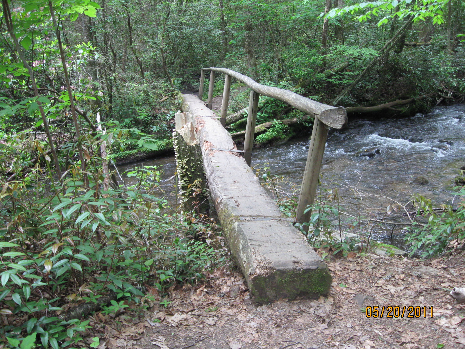 Caldwell Fork Trail stream crossing