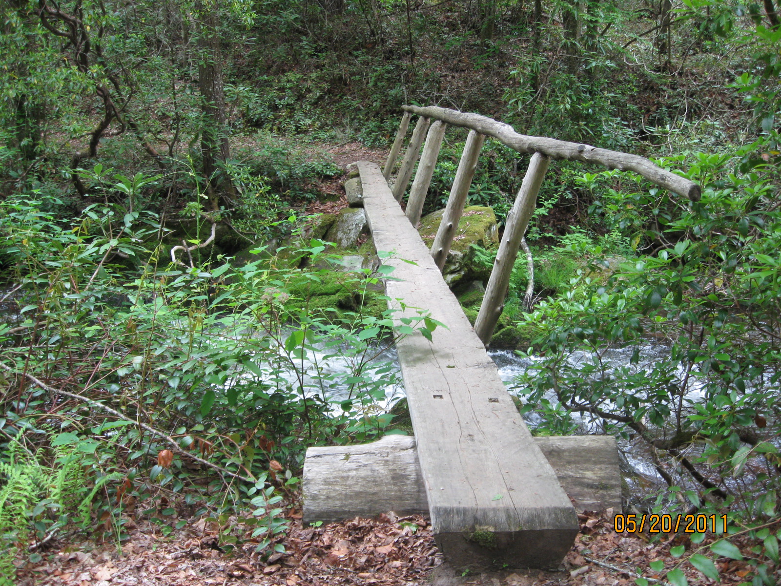Caldwell Fork Trail, an other typical stream crossing