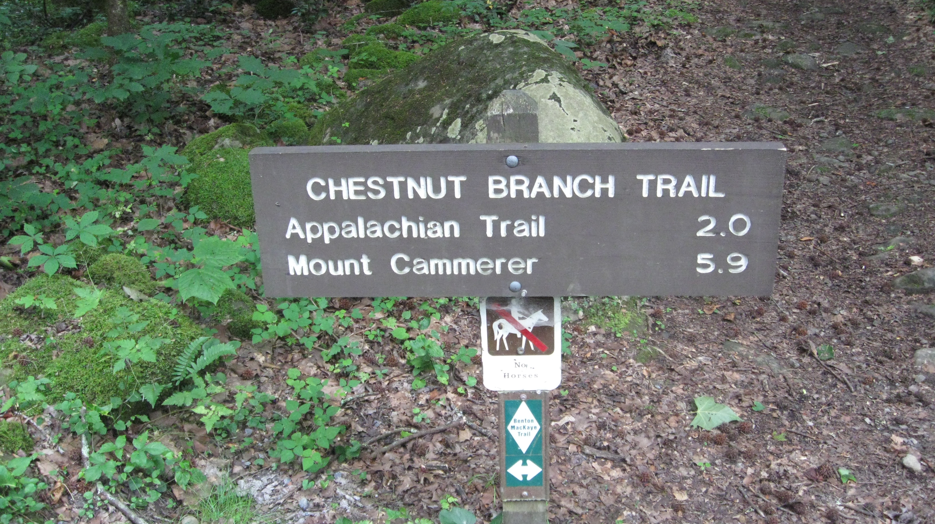 Chestnut Branch Trailhead Closeup
