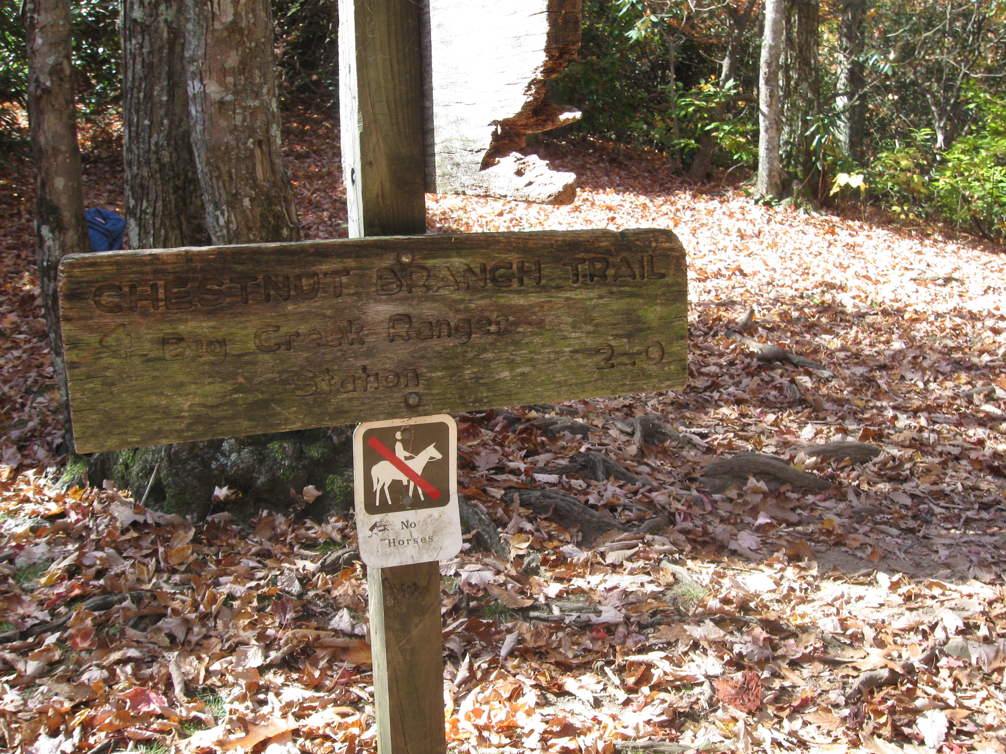 Appalachian Trail Intersection with Chestnut Branch Trail