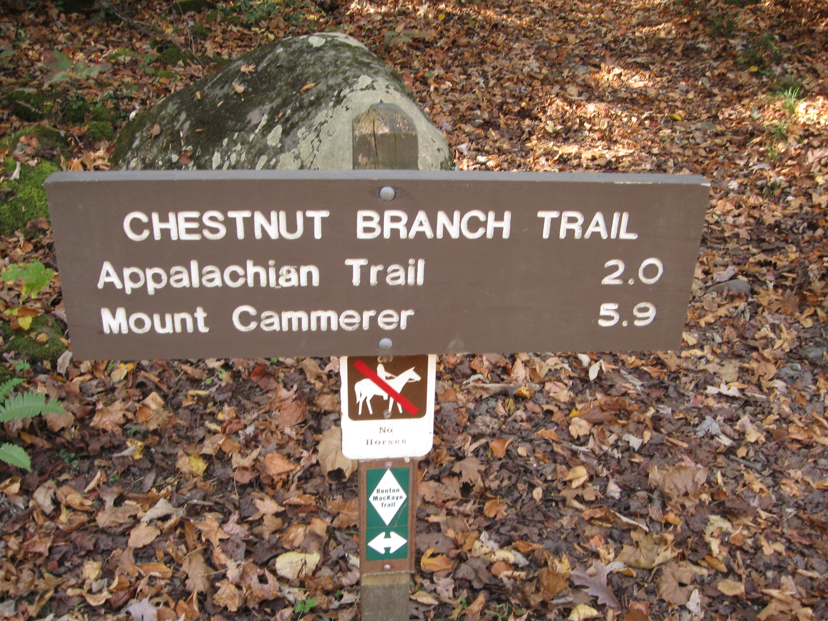 Chestnut Branch Trail trailhead, end of today's hike