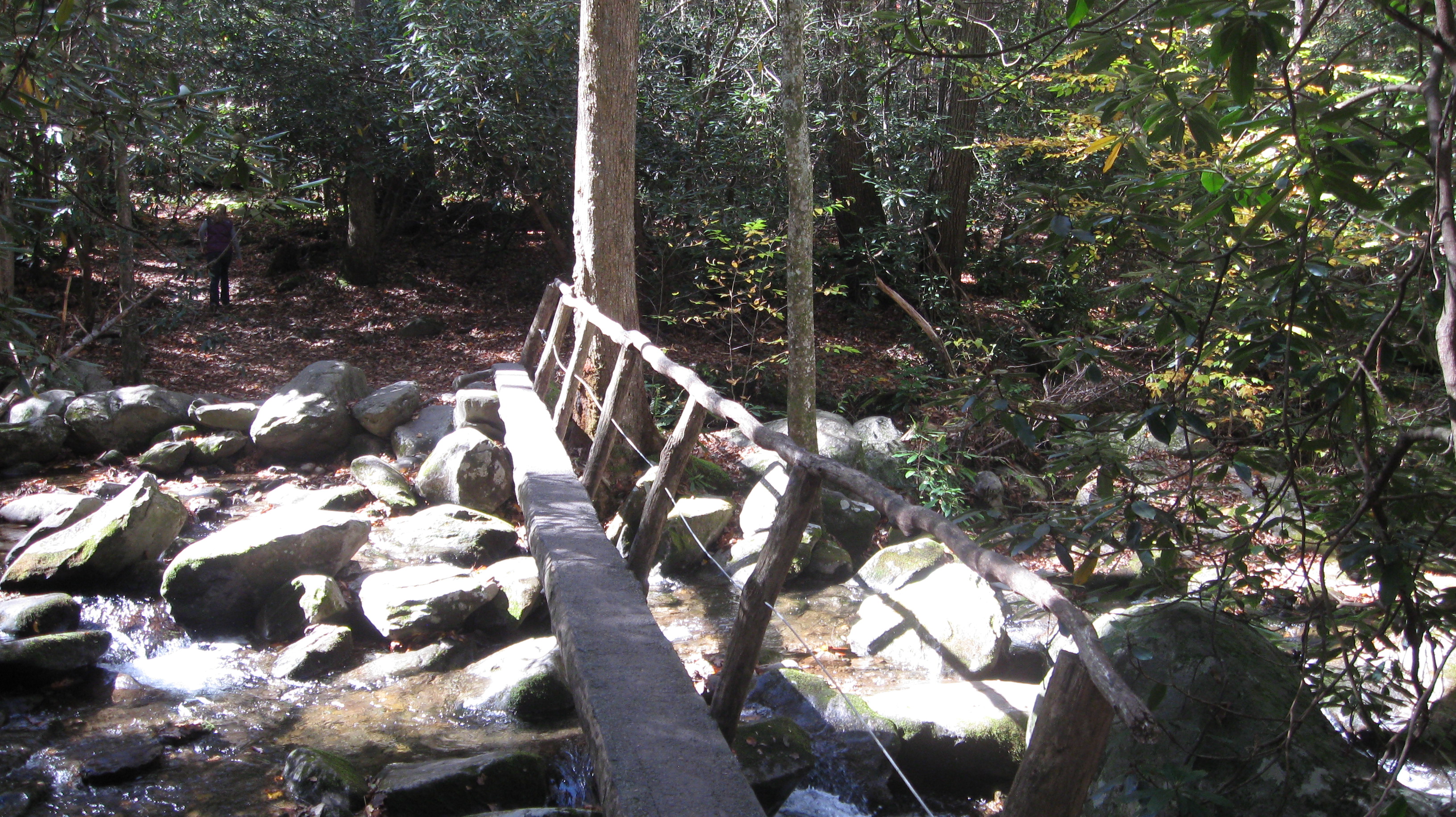 Log bridge across a little creek