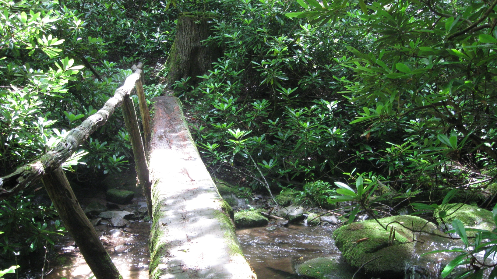 a trail crossing at a log bridge