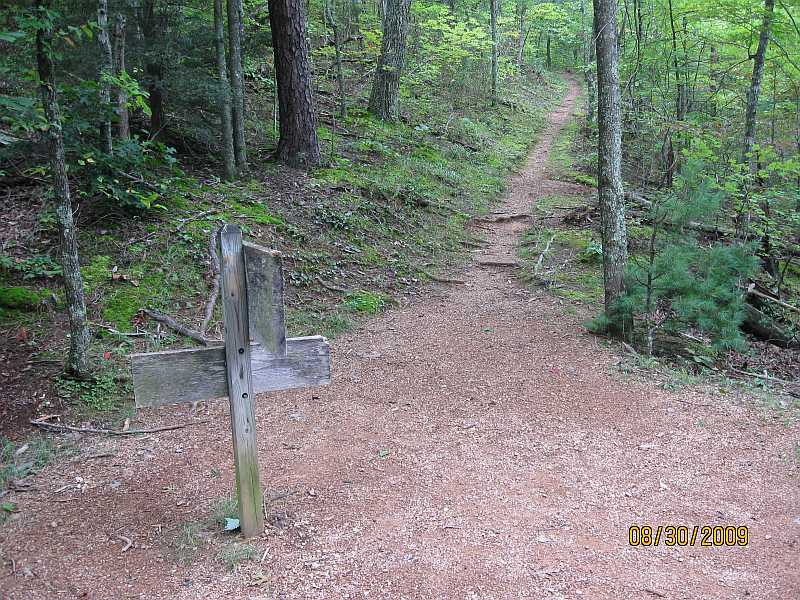 Little Greenbrier Trail to Laurel Falls Trail