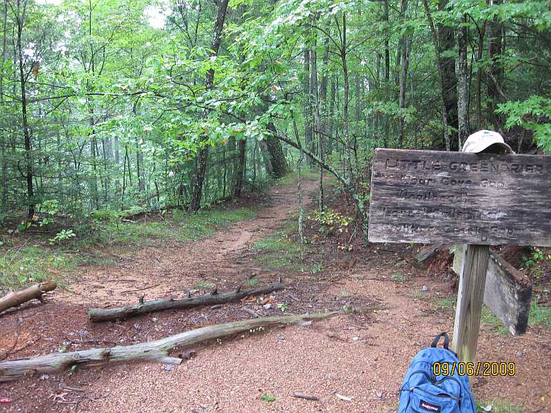 Trail intersection sign at Little Brier Gap