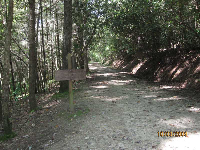 Intersection with the Turkeypen Ridge Trail