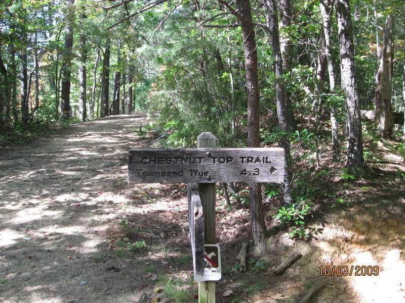 Intersection with the Chestnut Top Trail