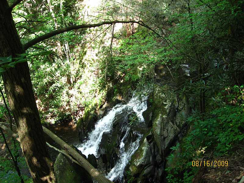 Spruce Flats Lower Falls